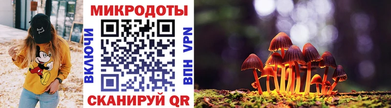 дарнет шоп  Игра  Псилоцибиновые грибы прущие грибы 